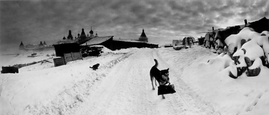 Pentti Sammallahti Black and White Photograph - Solovki, White Sea, Russia (Dog with Bag)