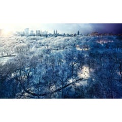 Central Park 12