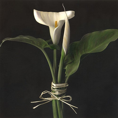 3dRose lsp_49391_1 Callas in Vase Calla Floral Calla Lily Callas Easter Lily Flower Light Switch Cover Calla Lilies 3dRose lsp_49391_1 Callas in Vase Calla Floral Calla Lily Callas Easter Lily Flower Light Switch Cover Calla Lilies