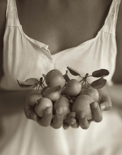 Petites pommes - Photograph de Kristoffer Albrecht