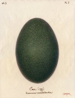 Emu (Egg) 2003