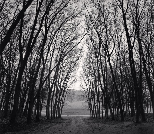 Michael Kenna Black and White Photograph - Circle in Trees, Marly, France