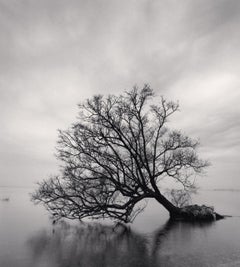 Landscape Photography