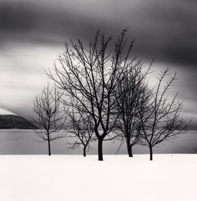 Michael Kenna Landscape Photograph - Five Trees, Toya Lake, Hokkaido, Japan