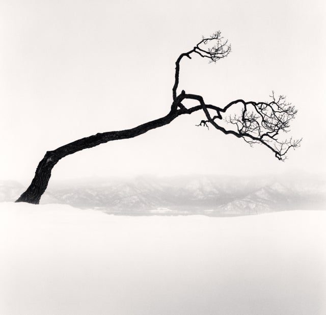 Michael Kenna Landscape Photograph - Kussharo Lake Tree, Study 9, Kotan, Hokkaido, Japan