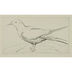 The Gull 9