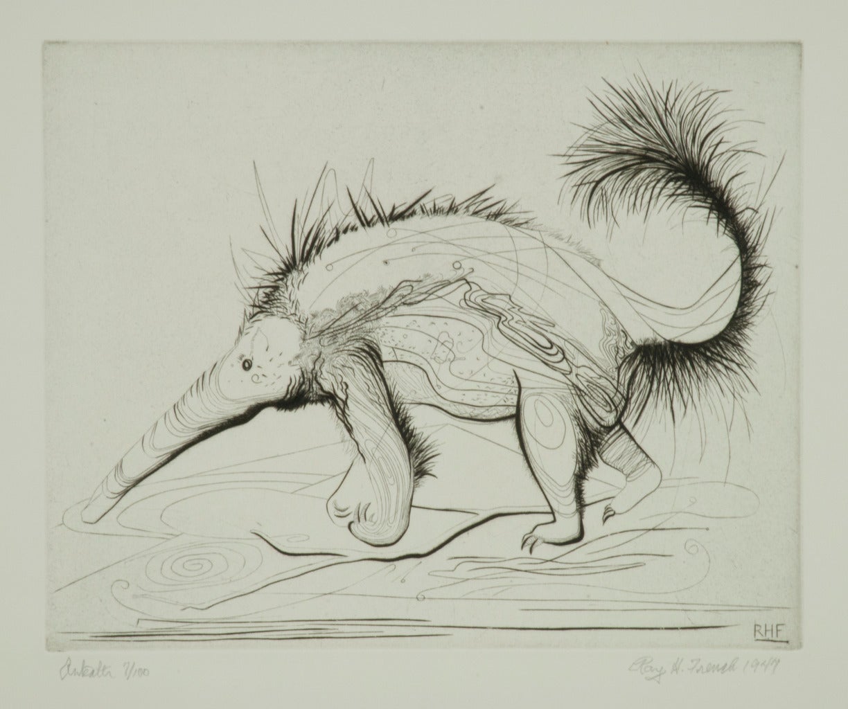 Anteater - Print by Ray H. French