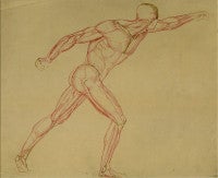 Anatomical Study of a Striding Male Nude with Left Arm Raised