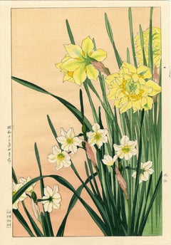 Daffodils