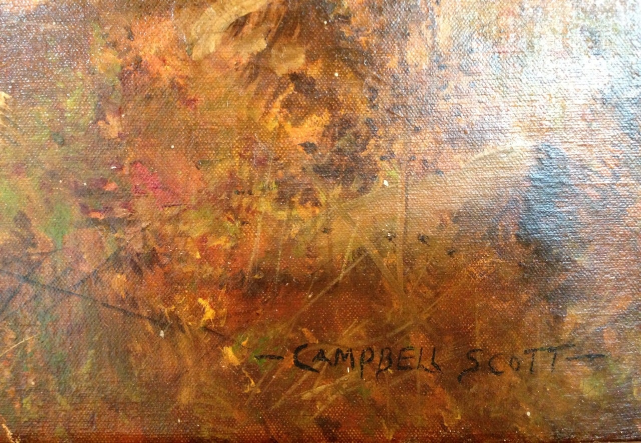 campbell scott artist