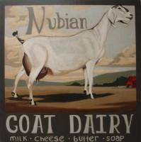 Nubian Goat (Farm 9)