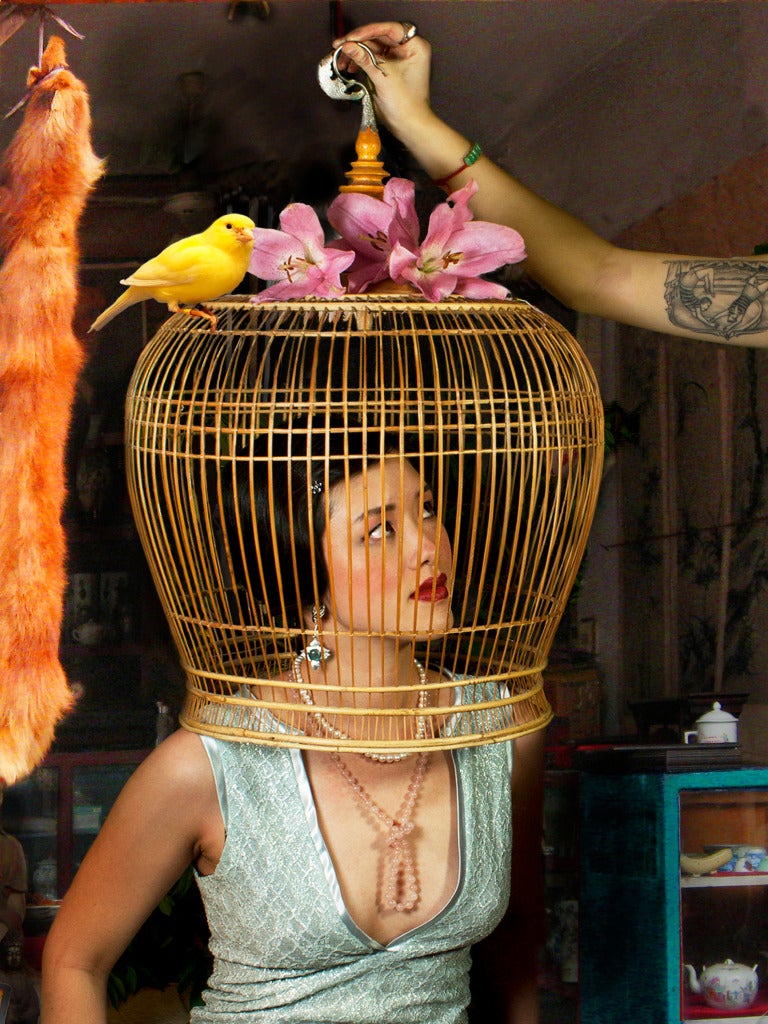 The Bird Cage - Photograph by Mei Xian Qiu