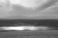 Mitch Dobrowner - Wedge Wedge