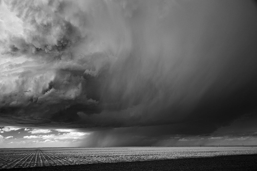 Mitch Dobrowner Landscape Photograph - Rain and Corn Texas
