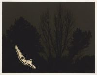 Motel sign, Highway 101, Ukiah, CA