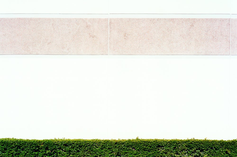 J. Bennett Fitts Landscape Photograph - Box Hedge