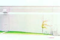 Tree with Picnic Table