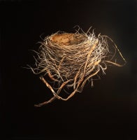 Robin Robin's Nest:: Herbst 2012