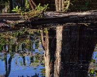 Surface Reflection