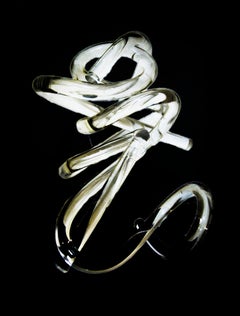 Untitled Kitenic Form