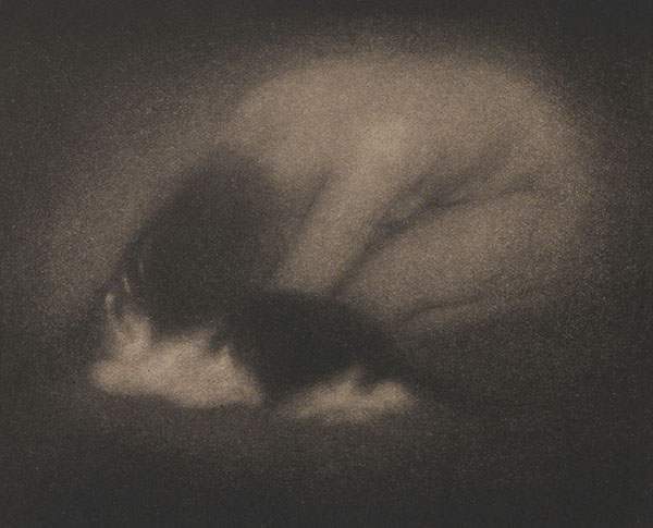 Edward Steichen Nude Photograph - Nude with Cat, from Camera Work Vol. 2 Page 39
