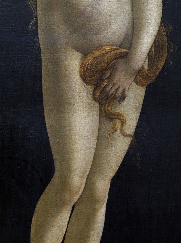 Reinhard Görner Figurative Photograph - Venus (detail), Sandro Botticelli Workshop, Painting Gallery, Berlin, Photograph