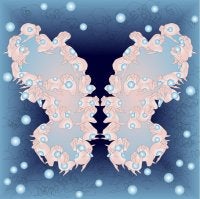 Yakh Bandan Butterfly