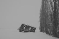 Shayok Mukhopadhyay - Untitled Untitled