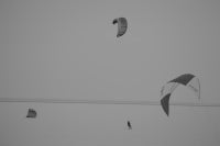 Shayok Mukhopadhyay - Untitled Untitled