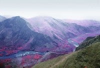 The Dark Side of The Moon