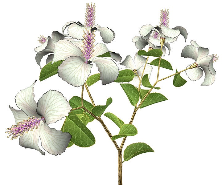 Dance Hall Girl - Mixed Media Art by Jennifer Steinkamp