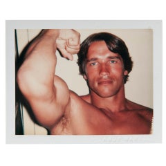 Arnold Schwarzenegger 2
