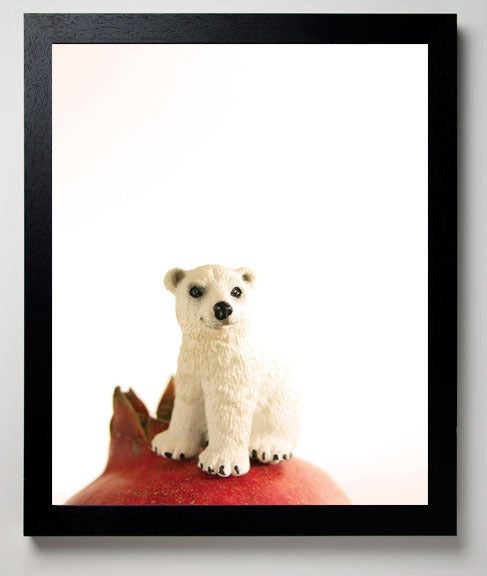 Pomegranate the Polar Bear For Sale 4