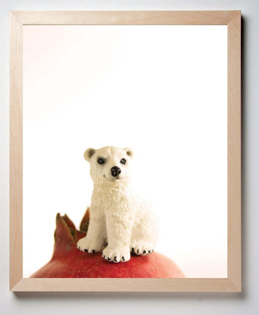 Pomegranate the Polar Bear For Sale 5