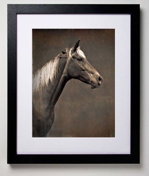 This price and size includes the frame. Framing options are: white, black, natural and aluminum.  Please contact the gallery for pricing of unframed prints and to choose your frame.

Limited edition giclee print on Hahnemuehle paper. Arrives with a