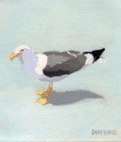 Seagull 13