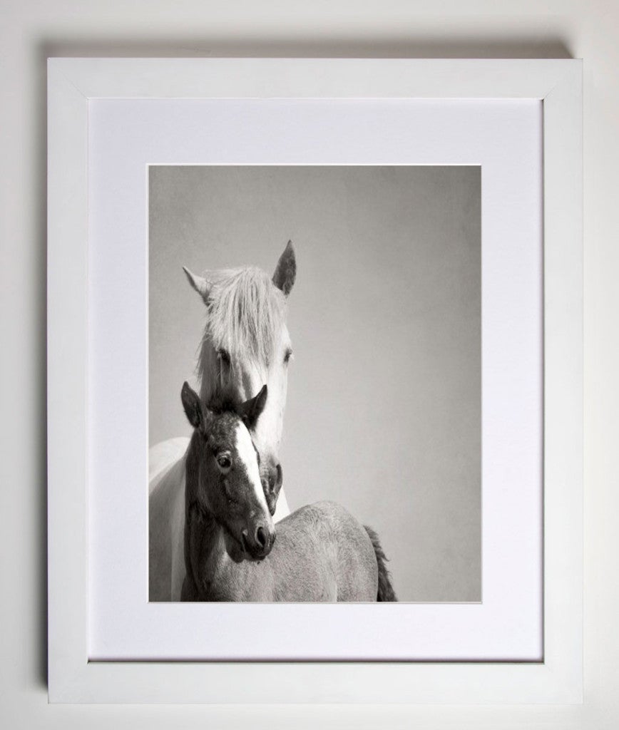 Mare and Foal Camargue France
