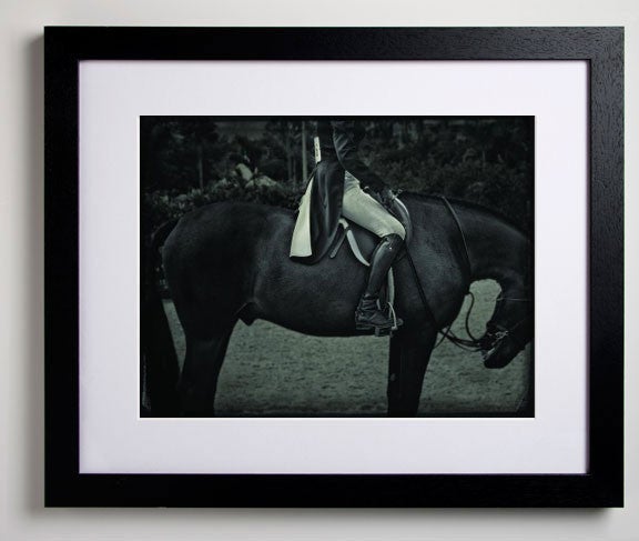 Equestrian Horse Bow