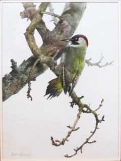 "Green Woodpecker"