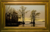 Cypress Trees on Albermarle Sound