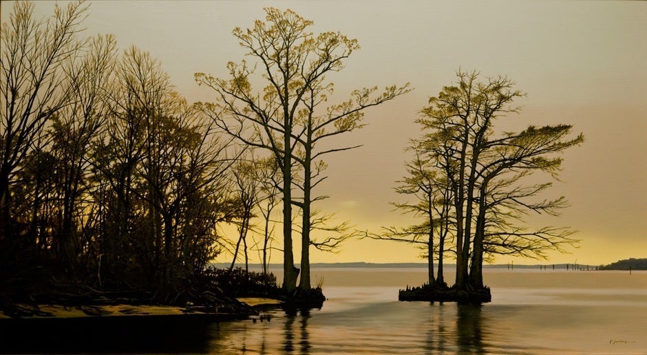 Cypress Trees on Albermarle Sound