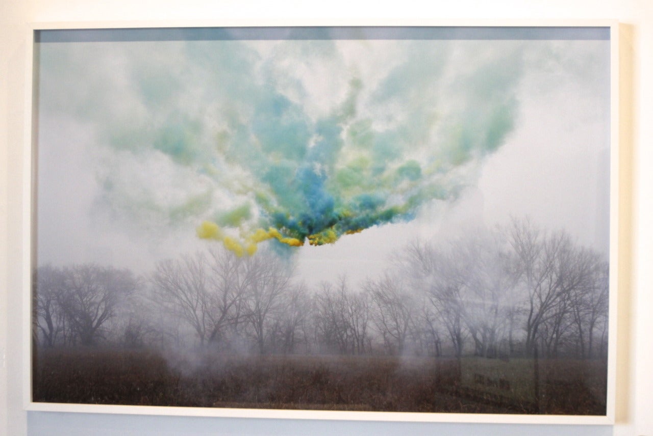 Blue and Yellow Make Green - Photograph by Irby Pace