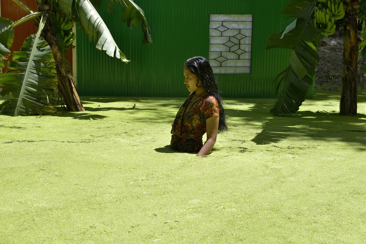 Elena Willis Color Photograph - House