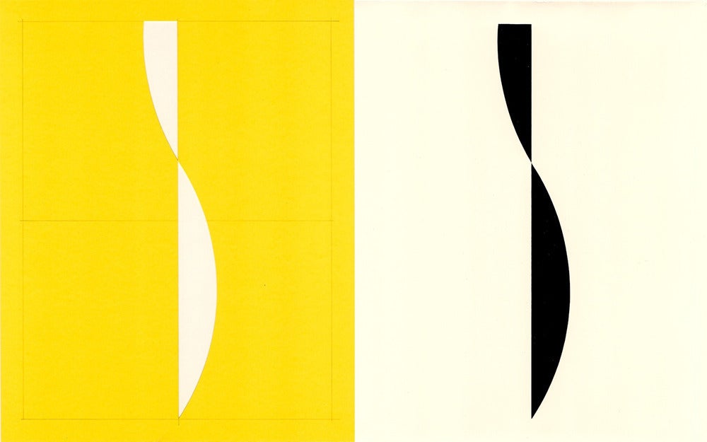 Richard Caldicott Color Photograph - B/W photogram and paper negative, yellow and black (43)