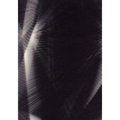 Unique Photogram (1) 4