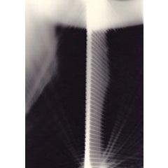Unique Photogram (10) 3