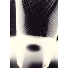 Unique Photogram (6) 5