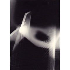 Unique Photogram (7) 1
