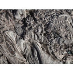 Untitled (last refuge 116) 12