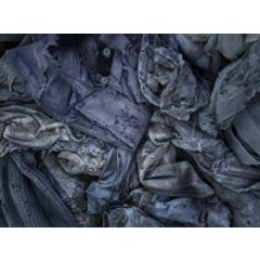Untitled (last refuge 172) 11